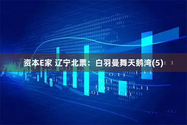 资本E家 辽宁北票：白羽曼舞天鹅湾(5)